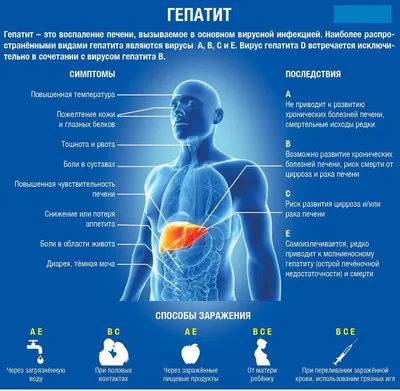 Чем опасен гепатит С — блог медицинского центра ОН Клиник