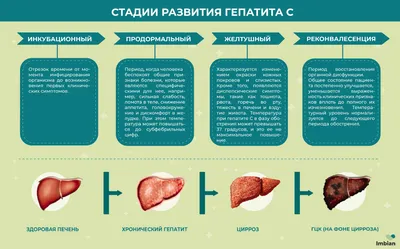 Профилактические мероприятия в отношении источников инфекции и факторов  передачи - online presentation