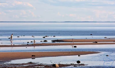 Рыбалка в Белом море: список рыболовных туров