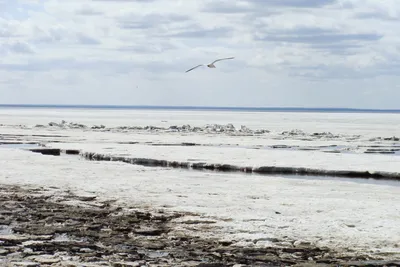 Белое море, Кандалакшский залив | TOP-MEST.ru