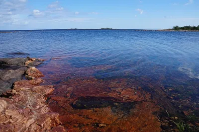 Жесткое белое море. Холодный летний день на Yagry финских острова Стоковое  Изображение - изображение насчитывающей лето, волны: 183544131