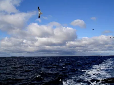 Путешествие на Белое море. Часть 4: острова, побережья и интересные факты о  них в 30 фотографиях | Маленькие открытия | Дзен