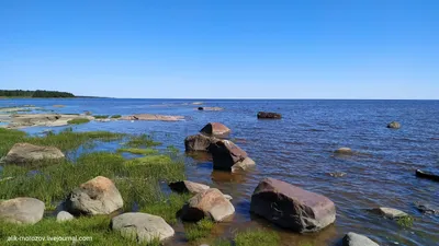 Белое море в Беломорске