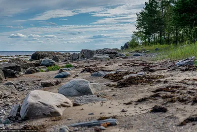 Жительница Карелии создала глэмпинг на берегу Белого моря благодаря  господдержке - \"Республика\"