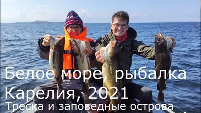 Ученые отправились на Белое море в Карелии, чтобы найти новые участки для  форелеводов | СТОЛИЦА на Онего