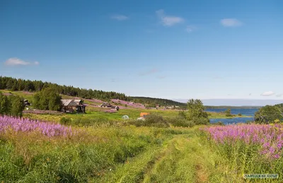 Подружиться с морем: пять активных приключений в Северной Карелии - Статьи  и репортажи РГО