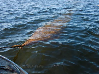 Белое море – Радио Искатель