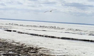 Белое море зимой и Черное море летом - одним цветом