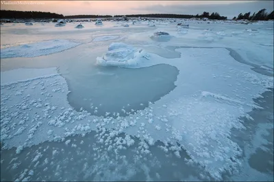 Белое море