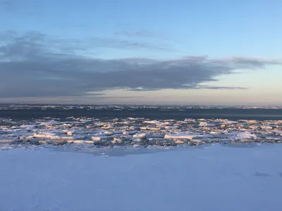 Турбаза (экстрим) на Белом море Отдых Рыбалка Гусиная охота