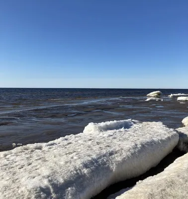 Северодвинск, деревня Шихириха и пикник на Белом море 🧭 цена экскурсии  6900 руб., 18 отзывов, расписание экскурсий в Архангельске