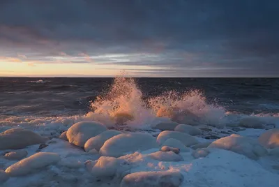 Карелия. Белое море — Фото №1349157