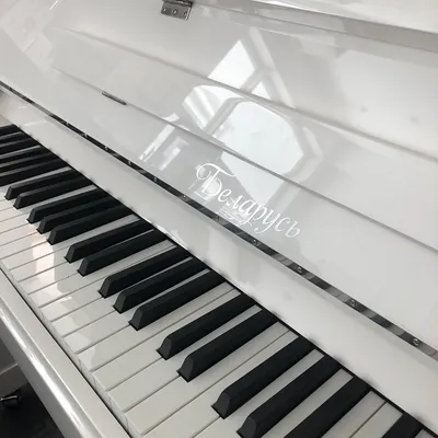 Купить Цифровое пианино Roland FP-60X EU (белое) в Москве по выгодной  стоимости в интернет магазине | Каприоника