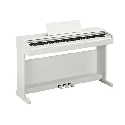 Цифровое пианино Yamaha Arius YDP-144WH белое - купить в интернет-магазине  Глинки.ру
