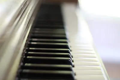 Музыкальная ротонда. Как белое пианино оживило Александровский сад (видео)