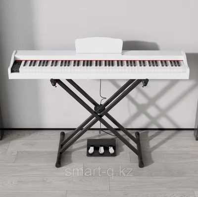 Цифровое пианино Yamaha Arius, 88 клавиш, белое | Источник Звука