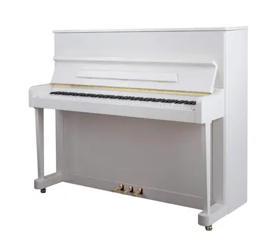 Чем отличается белое цифровое пианино от других моделей