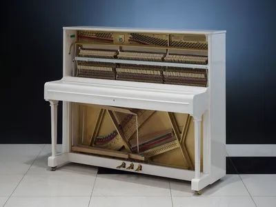 Цифровое пианино Beisite B-89 Pro WE белое - купить в интернет-магазине  Глинки.ру