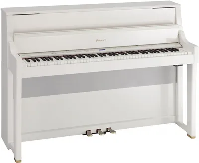 Цифровое пианино белое сатин Medeli DP280K-PVC-WH - купить с доставкой по  выгодным ценам в интернет-магазине OZON (1302452358)