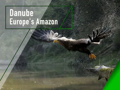 Prime Video: Danube - Europe's Amazon