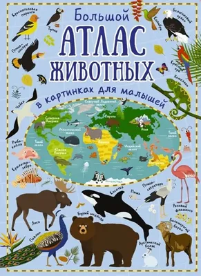 Amazon.com: Bolshoy atlas zhivotnyh v kartinkah dlya malyshey:  9785171056773: Doroshenko M.: Books