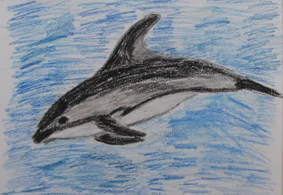 Серый дельфин анимация» — создано в Шедевруме