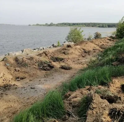 Море, не цвети: почему на Беловском тонут люди и разрастаются водоросли -  «СГК Онлайн»