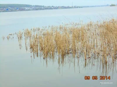 Беловское водохранилище — отдых, базы, цены, пляж, рыбалка, фото, на карте,  как доехать