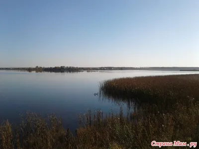 Купальщиков в технологическом канале станции СГК на Беловском море будут  штрафовать / VSE42.RU - информационный сайт Кузбасса.