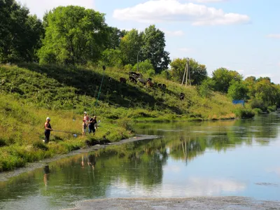 Беловское водохранилище — отдых, базы, цены, пляж, рыбалка, фото, на карте,  как доехать