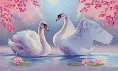 Белые лебеди, белая зима... Утонченность самой природы — Российское фото