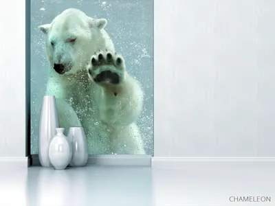 Фотообои белый медведь под водой», (арт. 20371) - купить в  интернет-магазине Chameleon