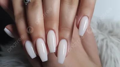 Накладные ногти Kitty Nail, классический белый френч, форма балерина,  длинные, 24 шт - купити за найкращою ціною в Україні ➤ KittyShop.com.ua