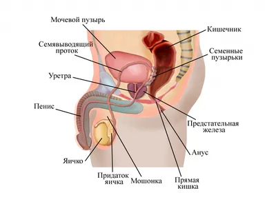 Папилломы на веках: почему появляются и как их можно убрать