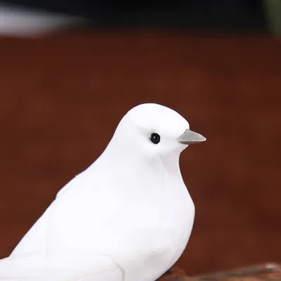 Белые птицы виды (38 фото) - красивые фото и картинки pofoto.club