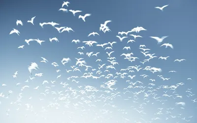 Огромные белые птицы» — создано в Шедевруме
