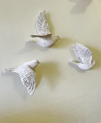 Белые птицы - красивые фото