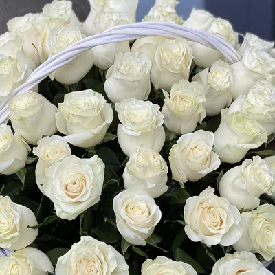Белые розы в корзине