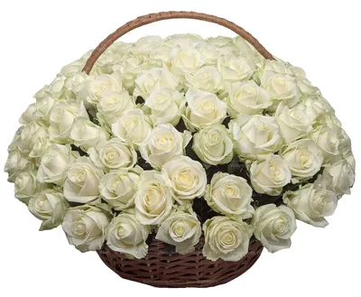 Корзина элитных белых роз заказать с доставкой по цене 31 350 руб. в  Севастополе