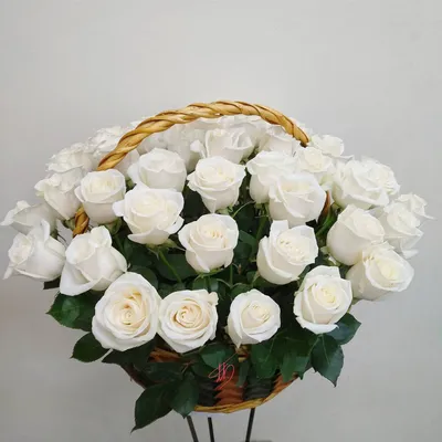 Купить розы в Щёлково с доставкой|Корзина из 27 белых роз - Lilium