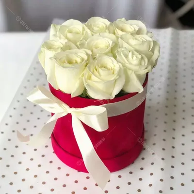 Корзина из 101 белой розы – купить недорого с доставкой