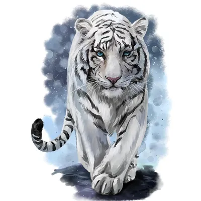Белый тигр красивые картинки - 64 фото