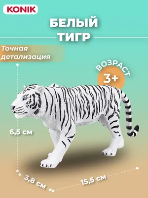 Фотообои «Белый тигр» - купить в интернет-магазине Ink-project с быстрой  доставкой