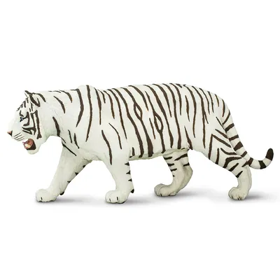 Бенгальский белый тигр / Bengal white tiger