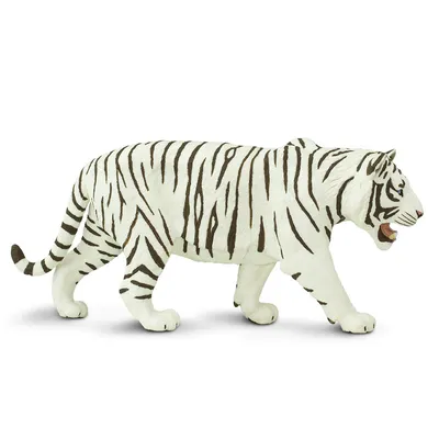 Сибирский тигр с белым мехом арт - 49 фото