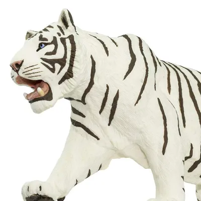 белый тигр лежит в заснеженной местности, городской зоопарк омуты белый тигр,  Hd фотография фото, бенгальский тигр фон картинки и Фото для бесплатной  загрузки