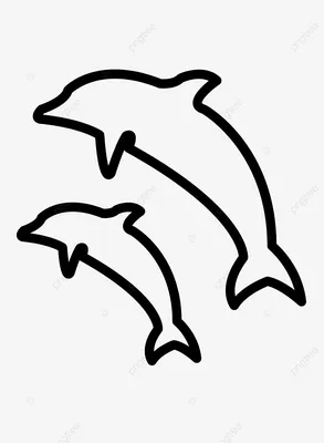 Белый дельфин в бассейне стоковое изображение. изображение насчитывающей  рыбы - 105981253