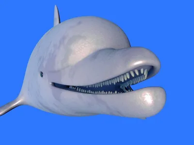 Белый дельфин, белуха, вынырнул из …» — создано в Шедевруме