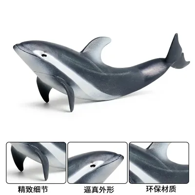 ммMaritime - все о море: новости, экология, флора и фауна...: Китайский белый  дельфин получил у берегов Тайваня специальную акваторию для обитания