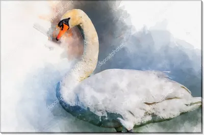 Портрет - белый лебедь, красивый …» — создано в Шедевруме